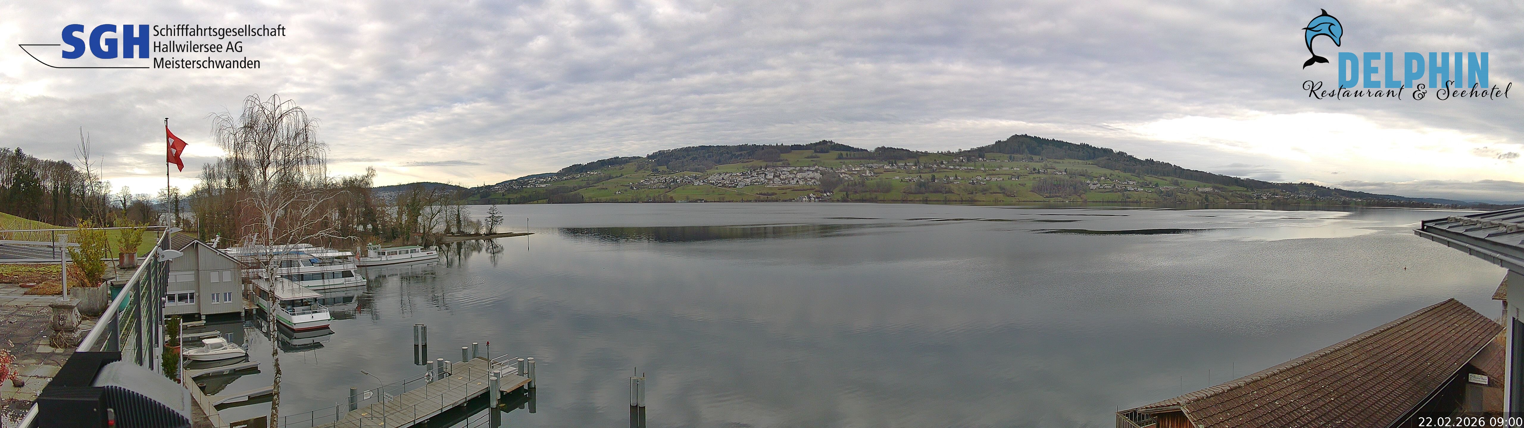 Webcam Meisterschwanden am Hallwilersee