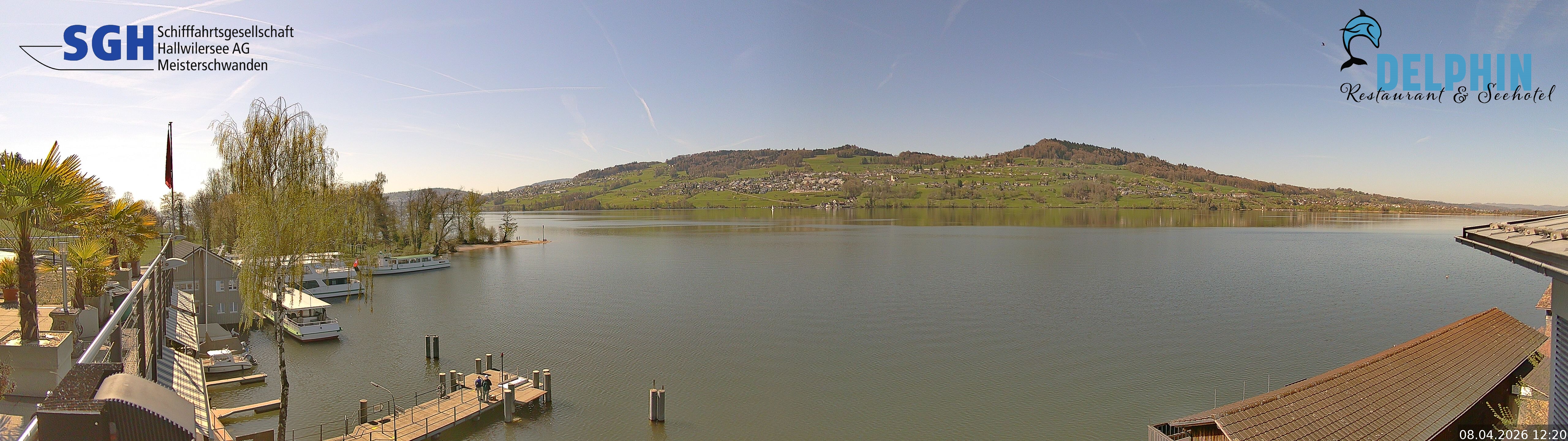 Webcam Meisterschwanden am Hallwilersee