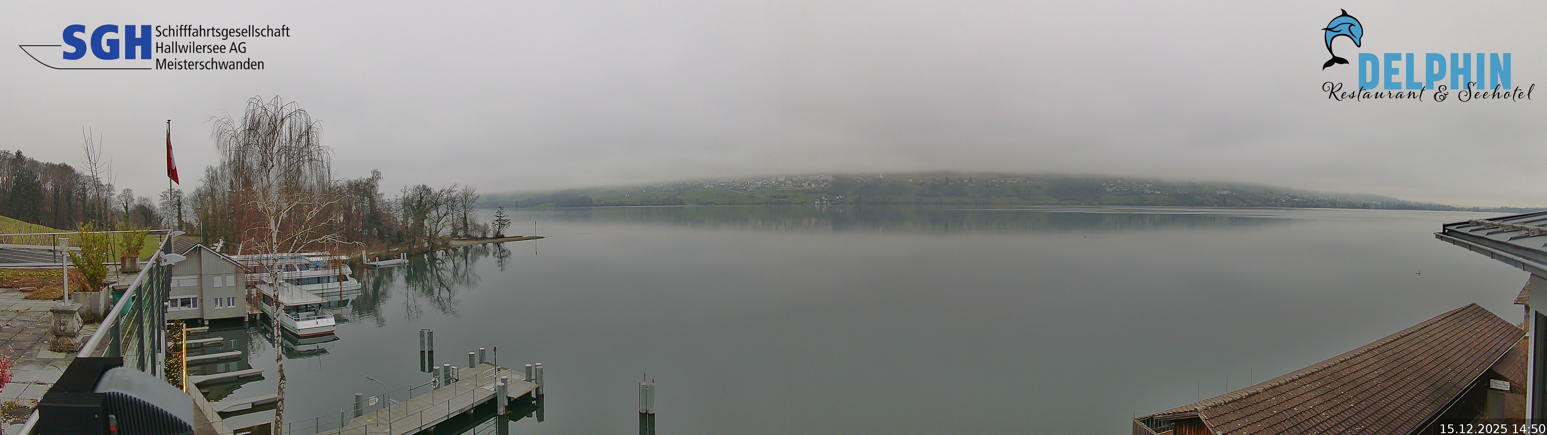 Webcam Meisterschwanden am Hallwilersee