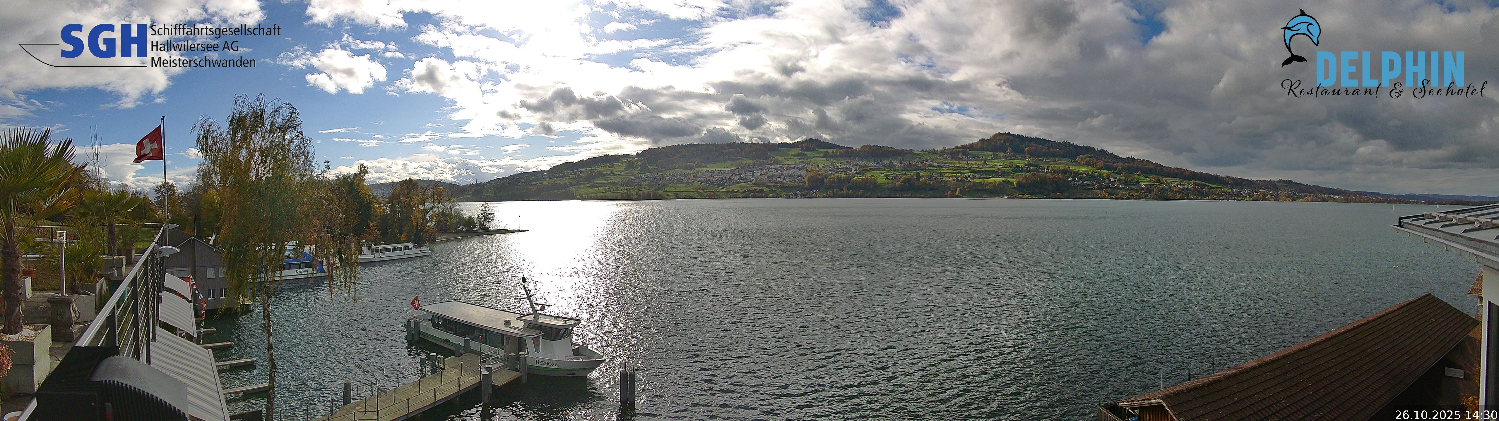 Webcam Meisterschwanden am Hallwilersee Webcam Meisterschwanden am Hallwilersee