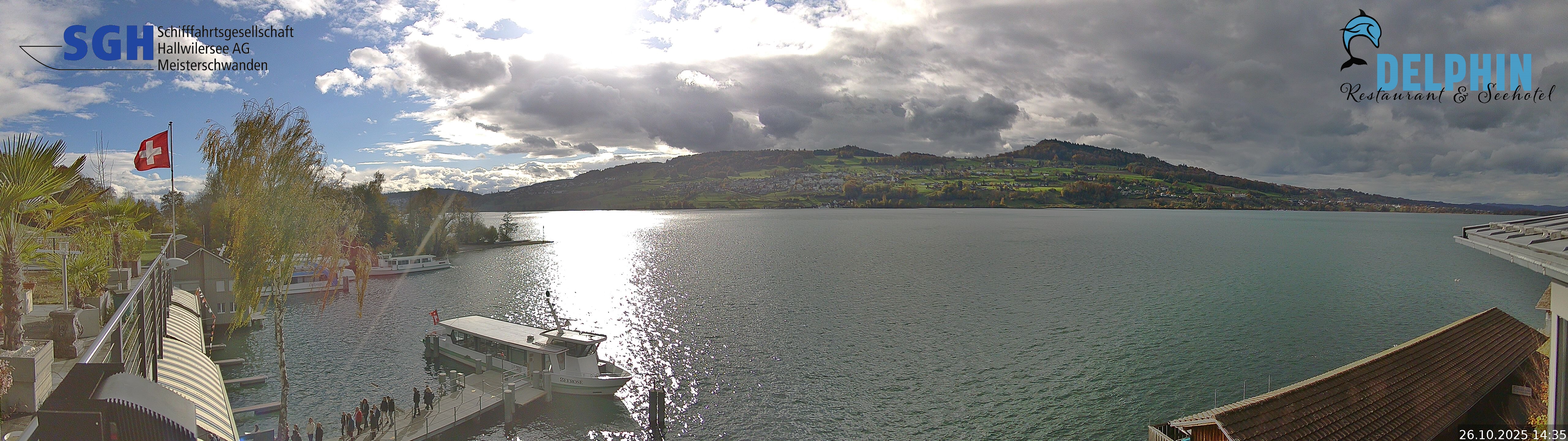 Webcam Meisterschwanden am Hallwilersee Webcam Meisterschwanden am Hallwilersee