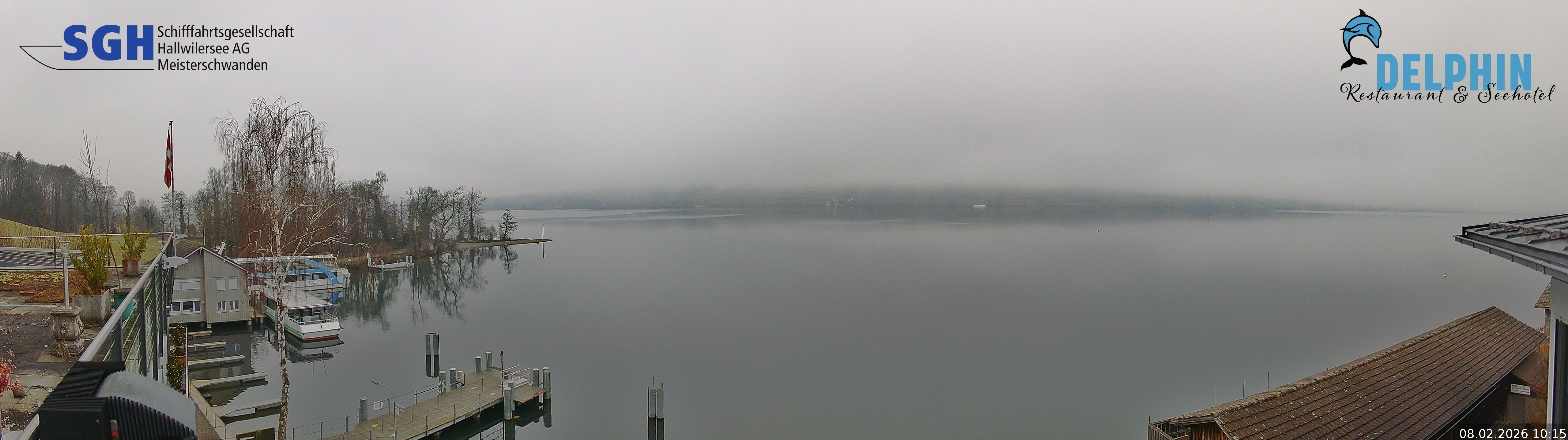 Webcam Meisterschwanden am Hallwilersee