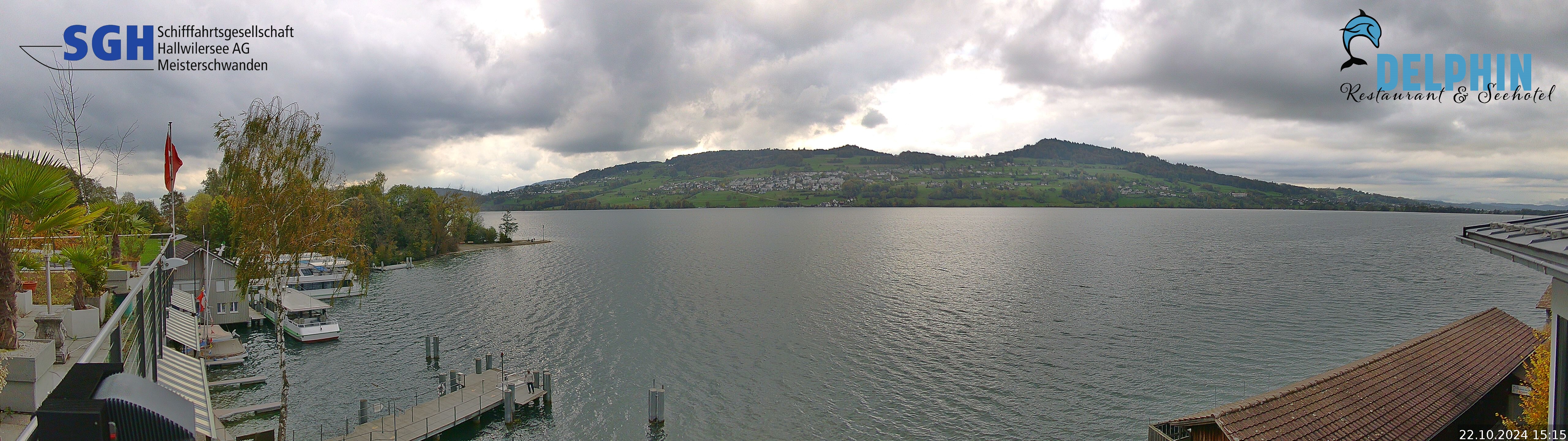 Webcam Meisterschwanden am Hallwilersee