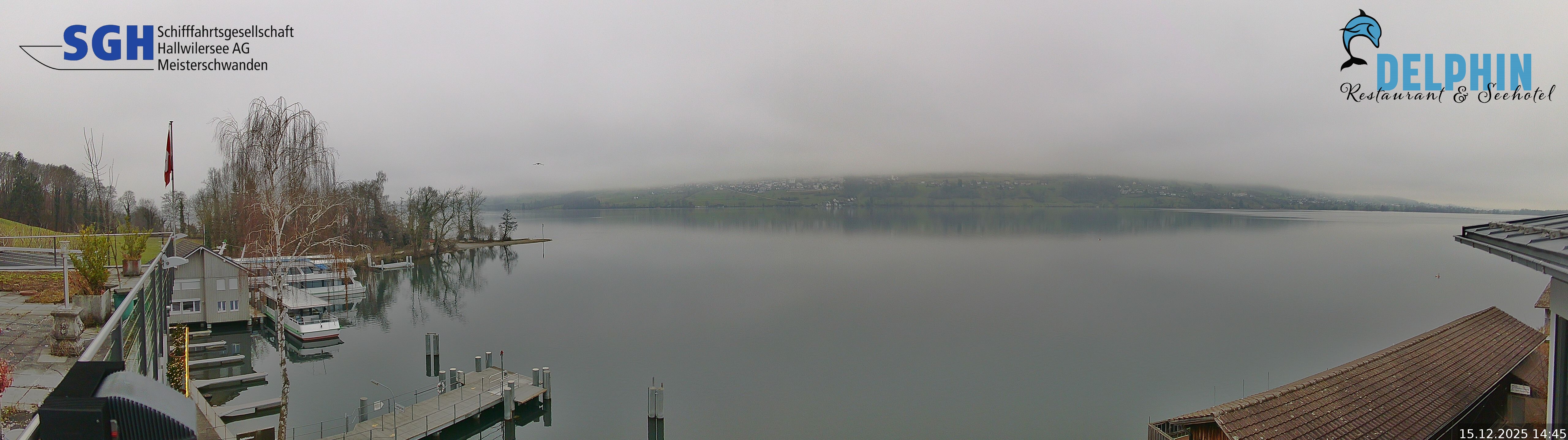 Webcam Meisterschwanden am Hallwilersee