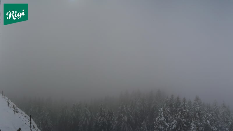 Webcam Rigi Rotstock